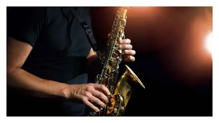 Playing the saxophone lessons android App screenshot 0